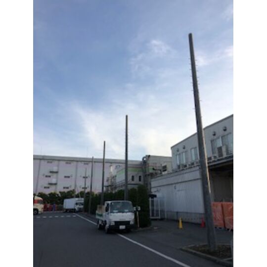 建柱